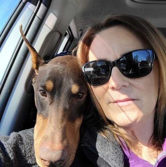 Meet your Posher, Robin - Picture 1 of 1